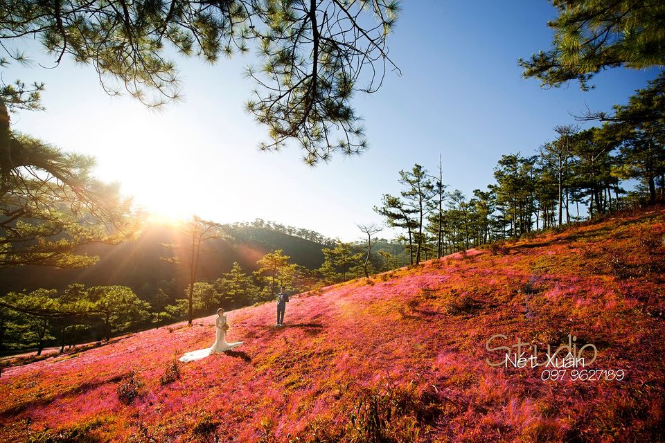 Áo Cưới Nét Xuân