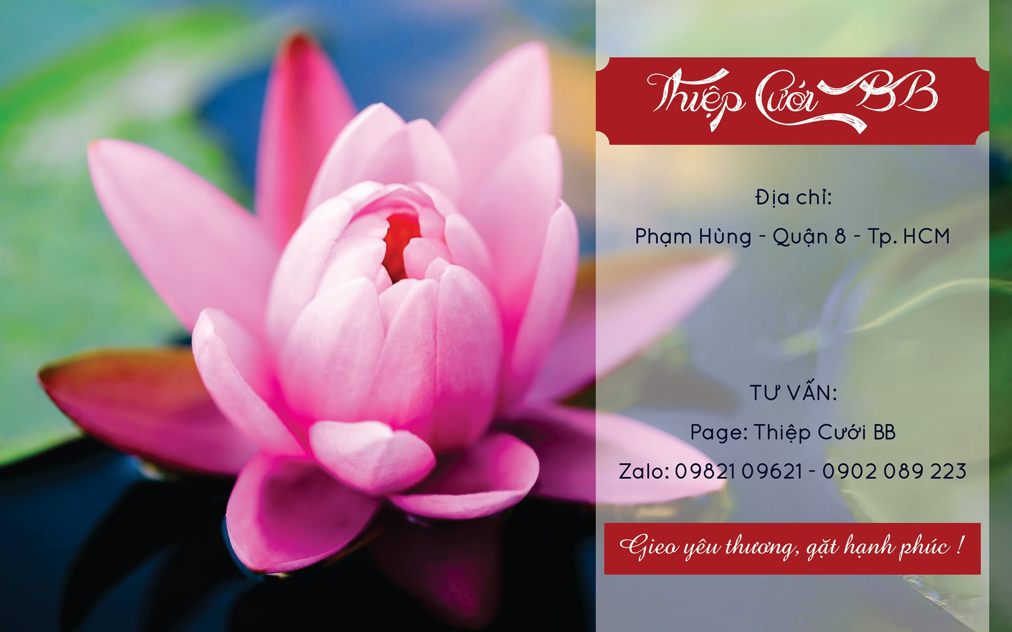 Thiệp Cưới BB